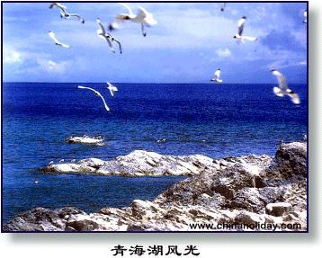 青海湖