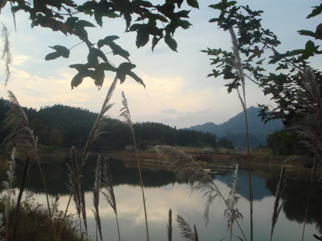 龙川湾