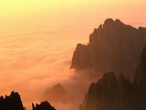 山东泰山