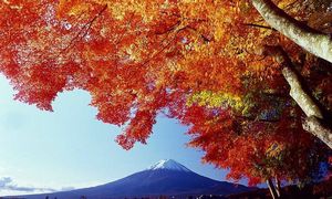 富士山