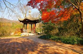 南京市钟山风景名胜区