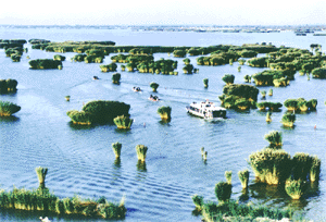 宁夏沙湖