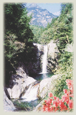 黄山龙源九龙瀑