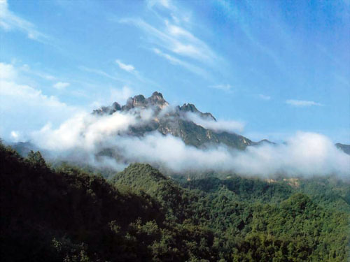 广州白云山
